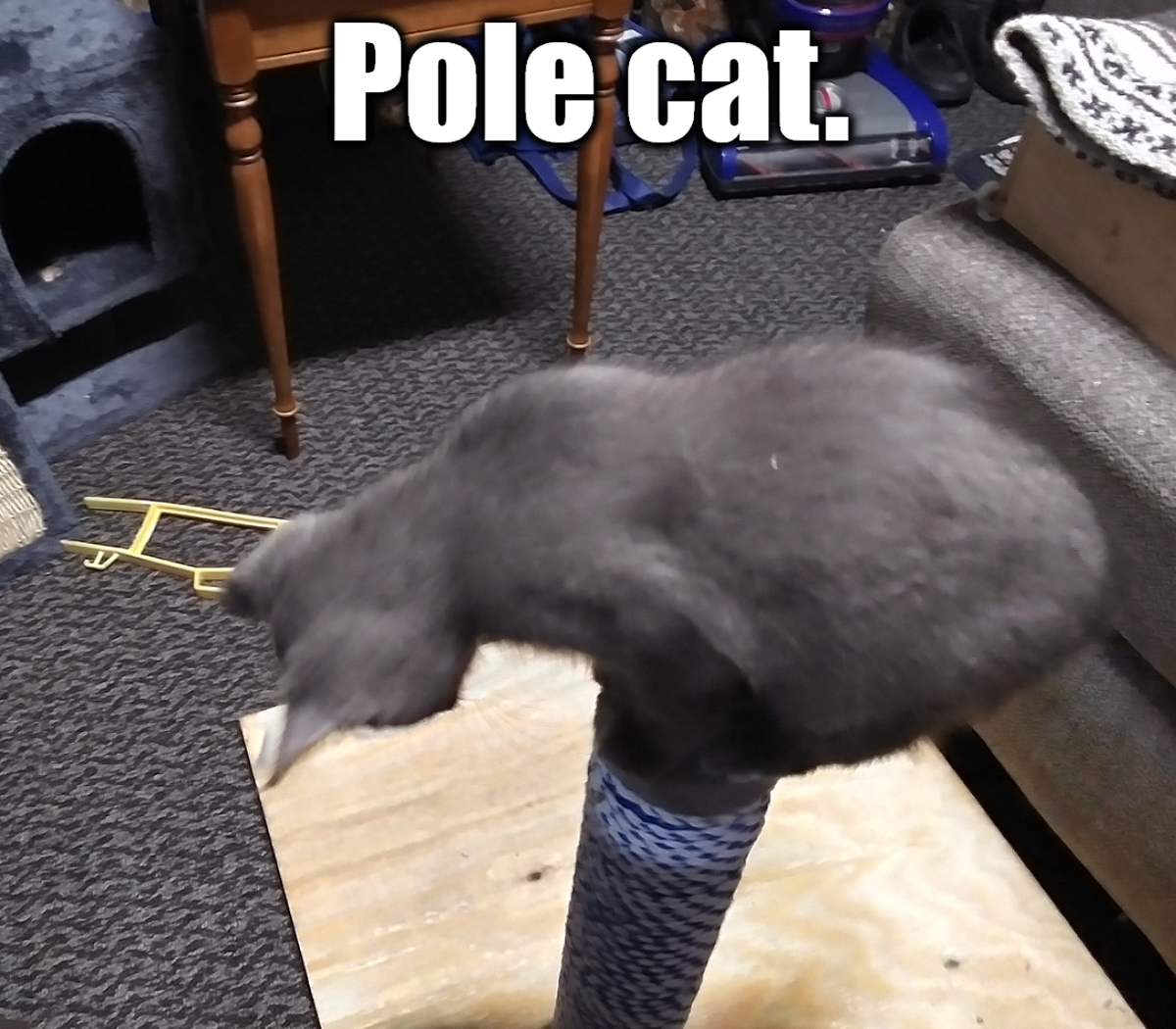 1786476299102.png