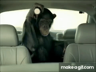 1786575515831.gif