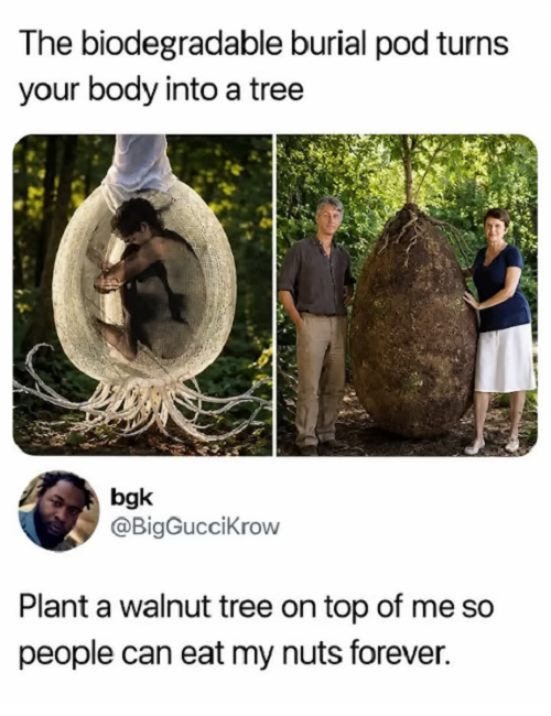 1786583656634.png