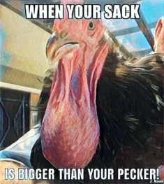 1786664547534.png