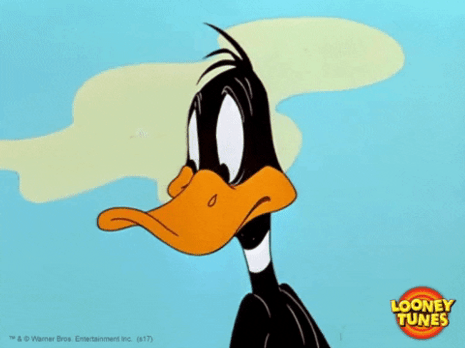 1786753246247.gif