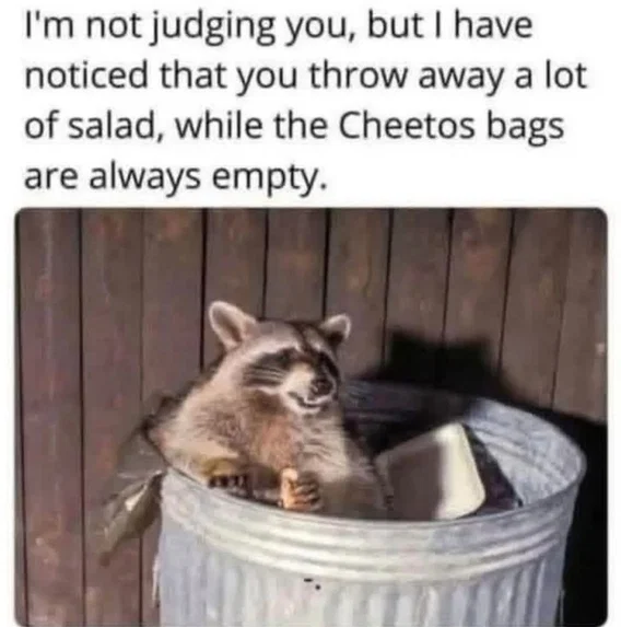 1786795798184.png