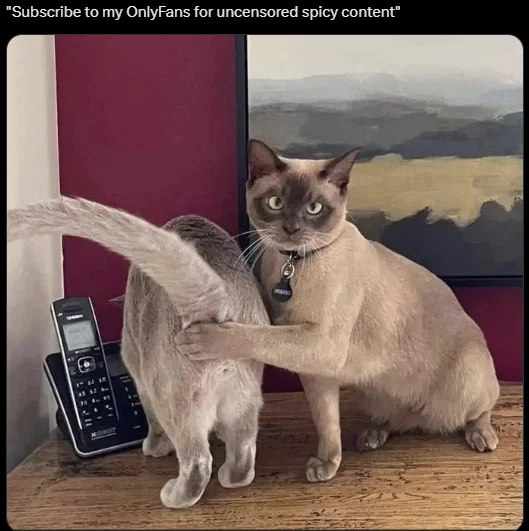 1786829205129.png