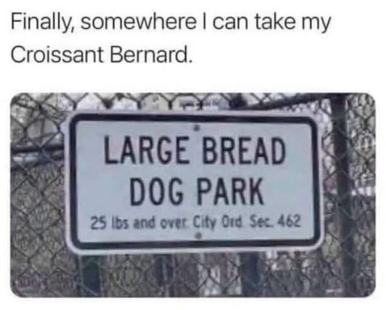 1786974240426.jpeg