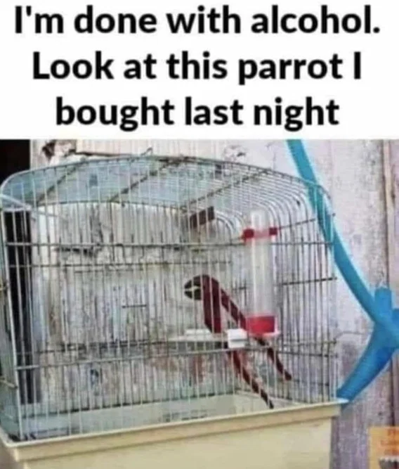 1787058625202.png