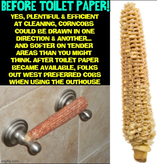 1787329757586.jpeg