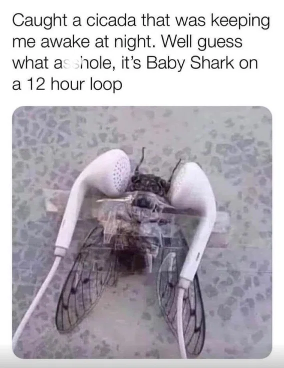 1787526451098.png