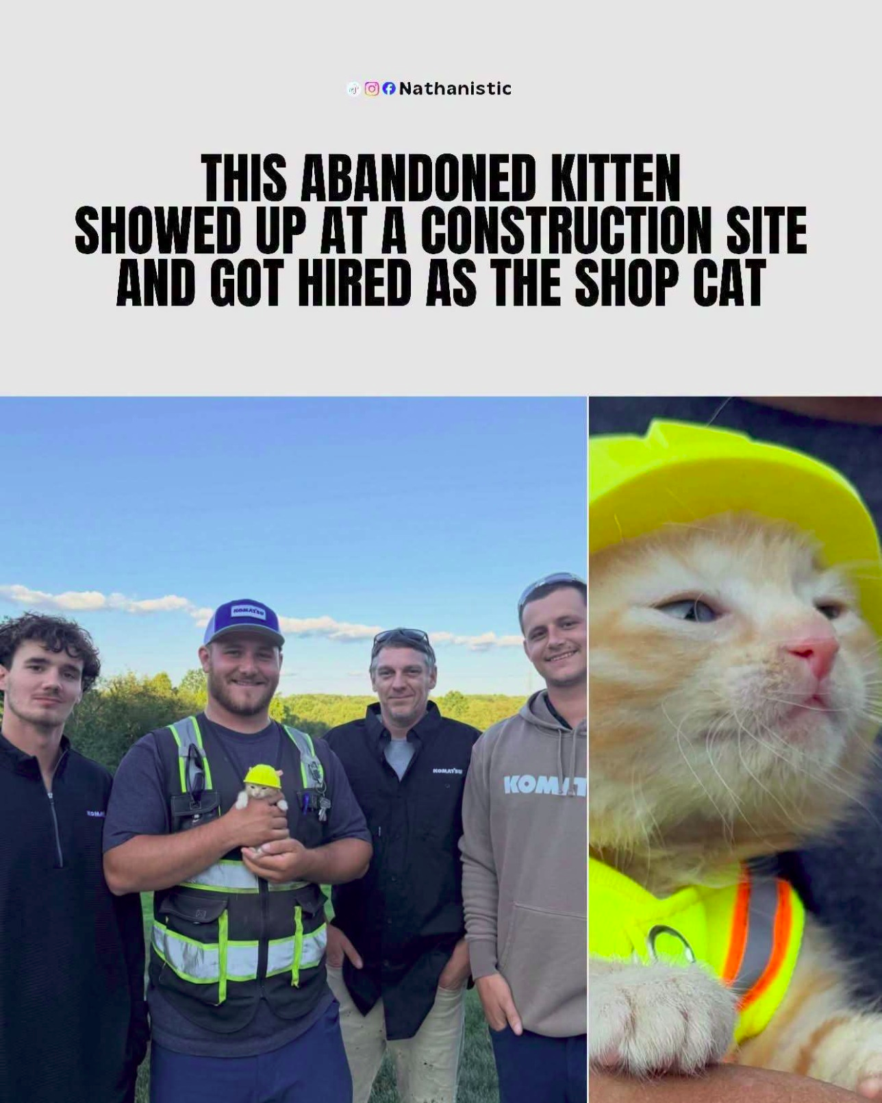 1787724655233.png