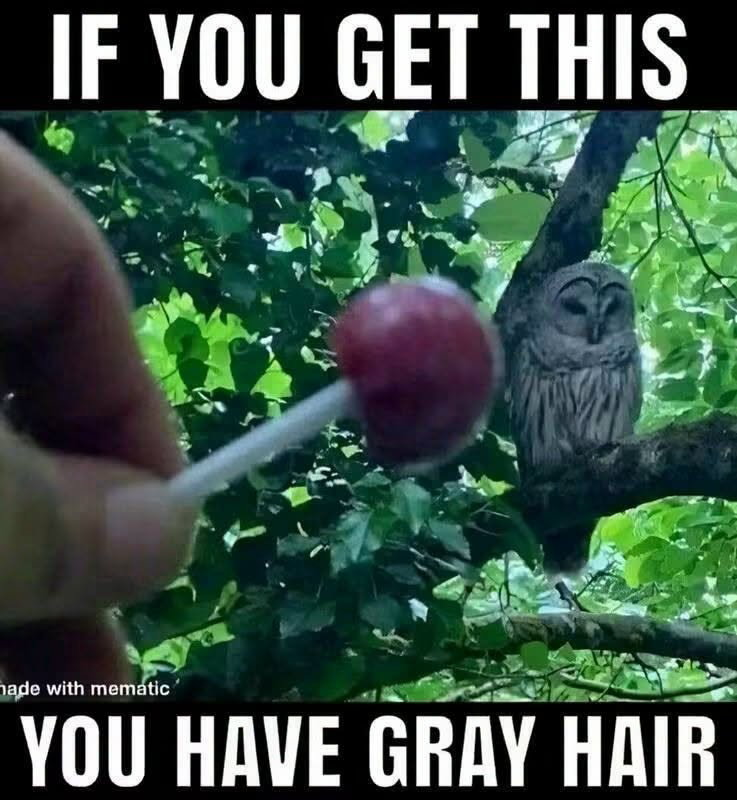 1787866968172.png