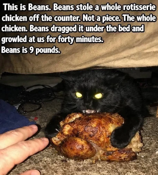 1787877253737.png