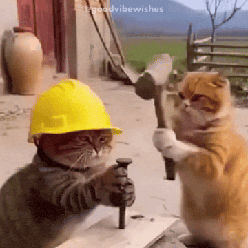 1788231421148.gif