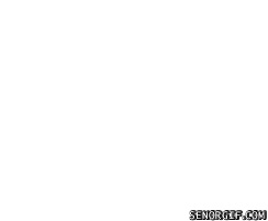 1788748396457.gif