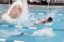 1788796707738.gif