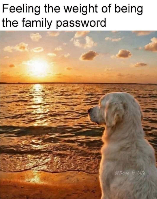1788876441191.webp