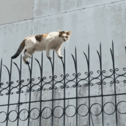 1788906028408.gif