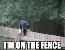 1788906097601.gif