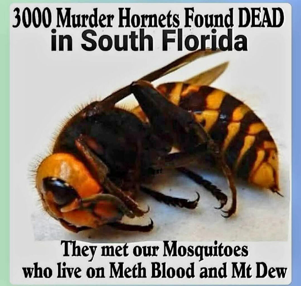 1789347783598.jpeg