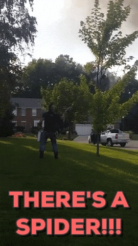 1789522862898.gif
