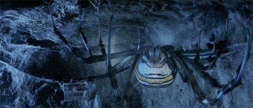 1789601638258.gif