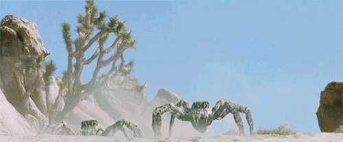 1789601709900.gif