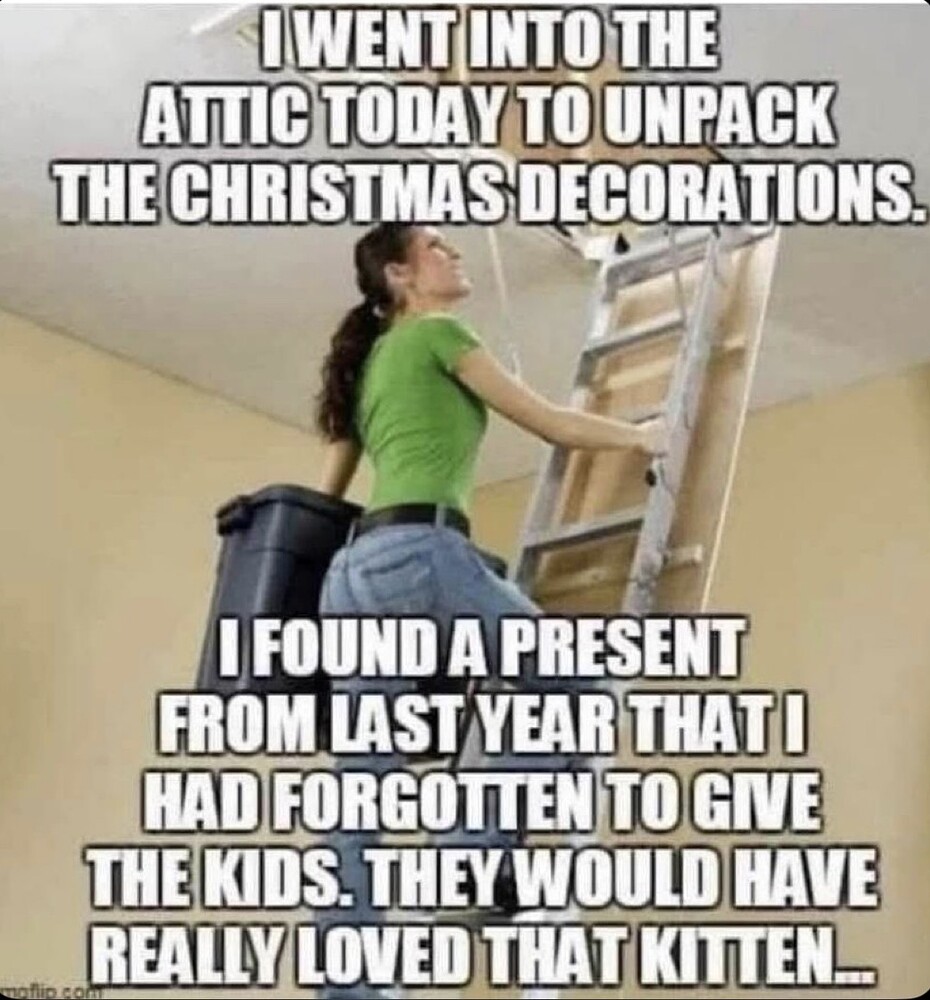 1789969365406.jpeg