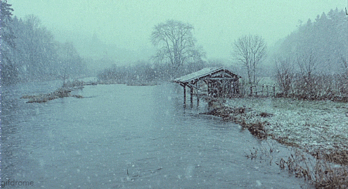 1790013341124.gif