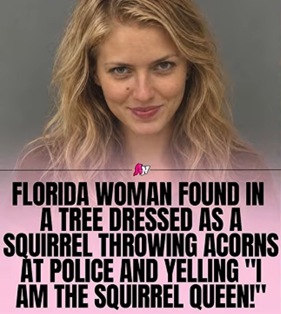 1790031536502.png