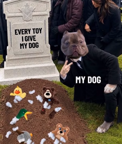 1790128641686.png