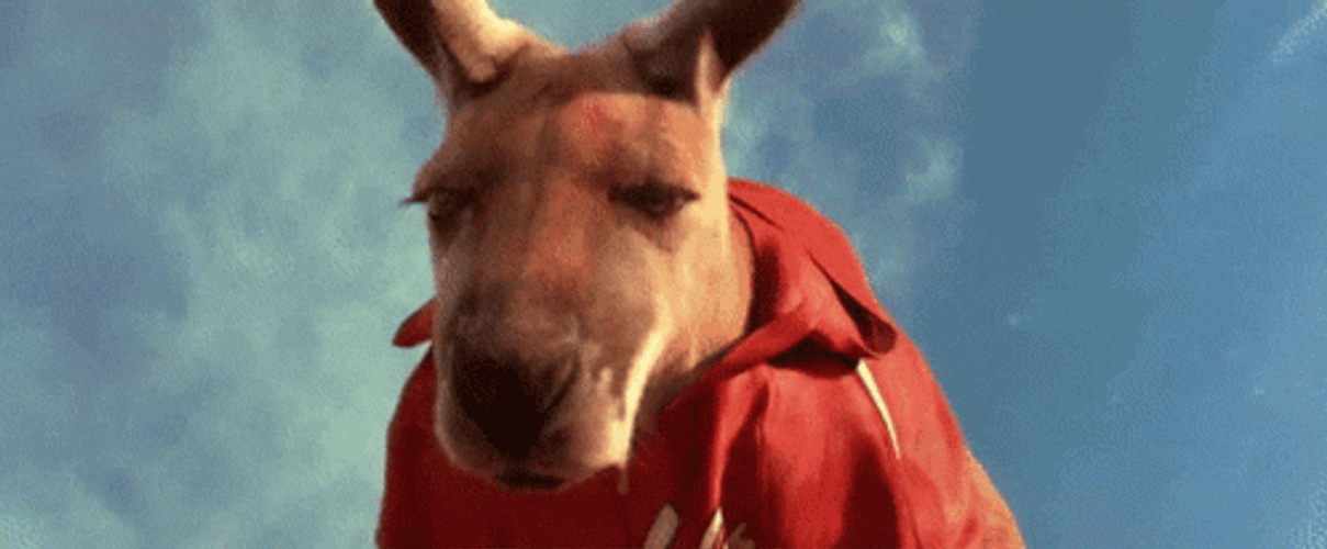 1790135034994.gif
