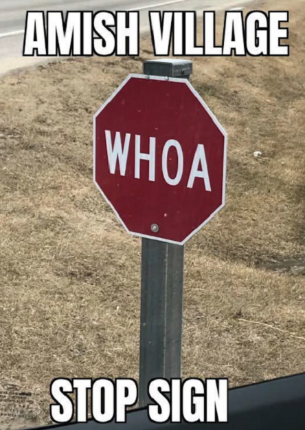 1790225289936.png