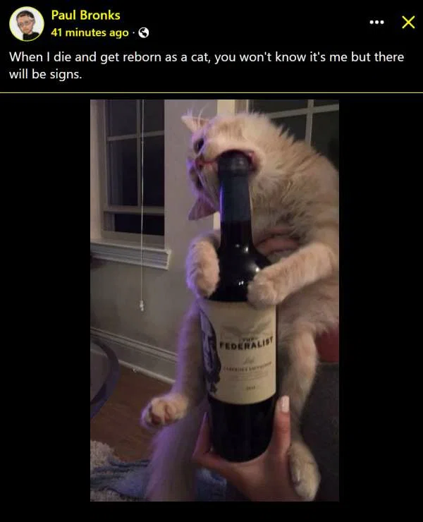 1790300044504.png