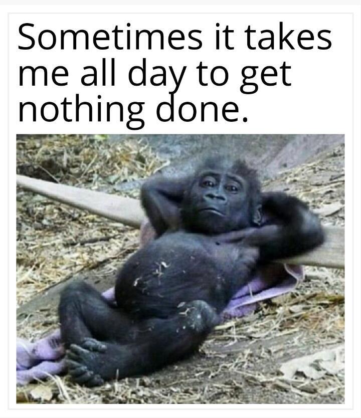 1790800851912.jpeg
