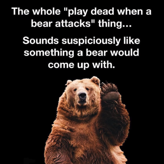 1790837048937.png