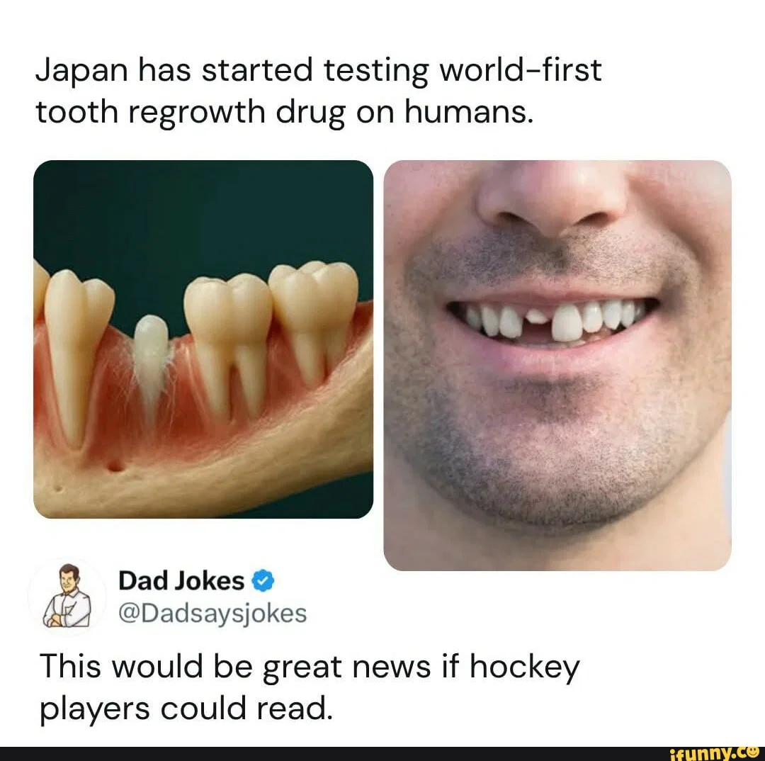 1791032686528.png