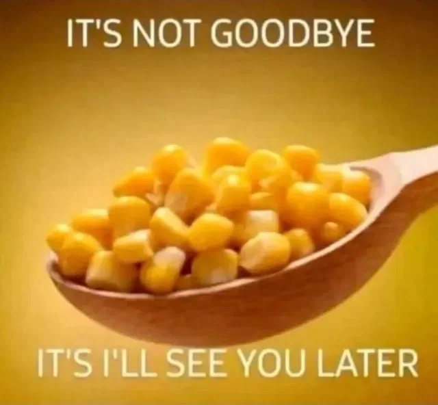 1791063892224.png