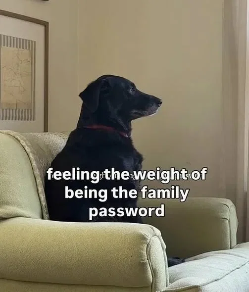 1791497277842.png