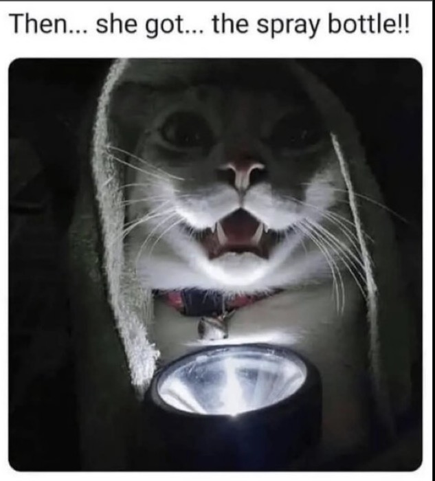 1791779586752.jpeg