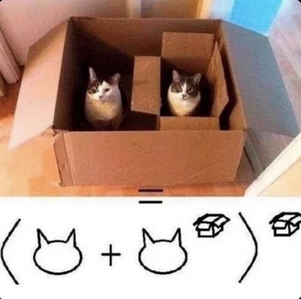 1791779726344.jpeg