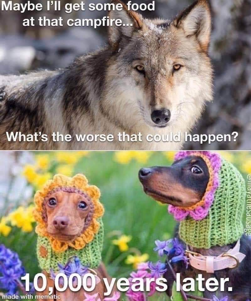 1791906484234.jpeg