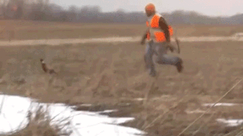 1792550931503.gif