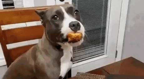 1792551250810.gif