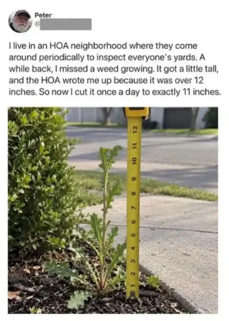 1792843301476.png