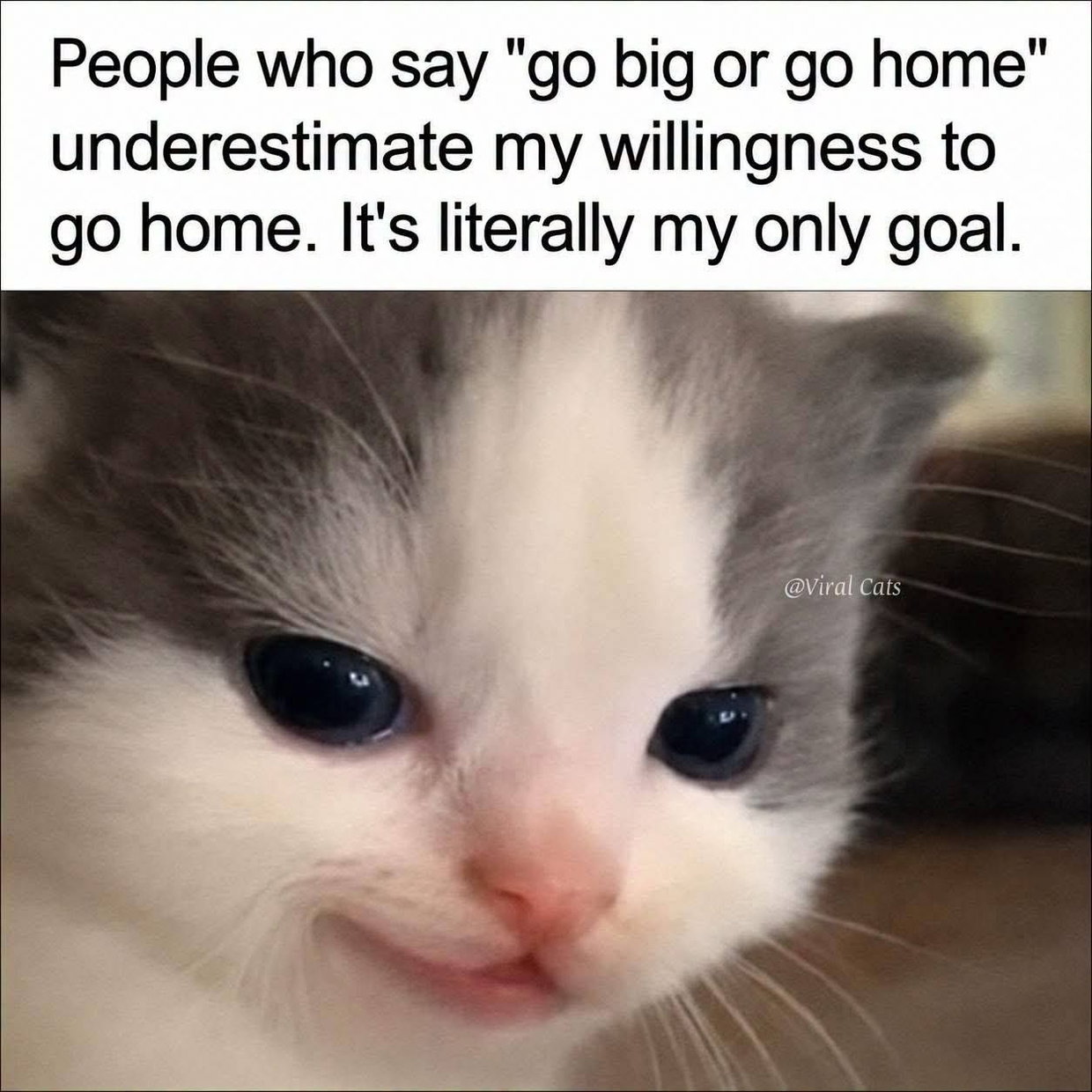 1793040153276.jpeg