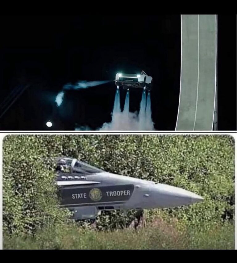 1793114675841.jpeg