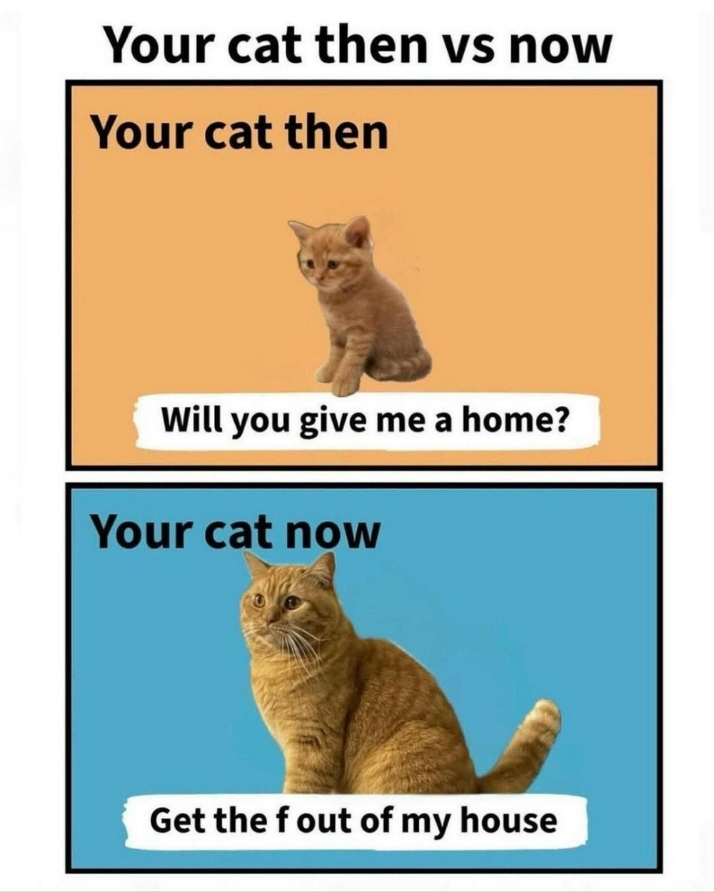 1793152847508.png