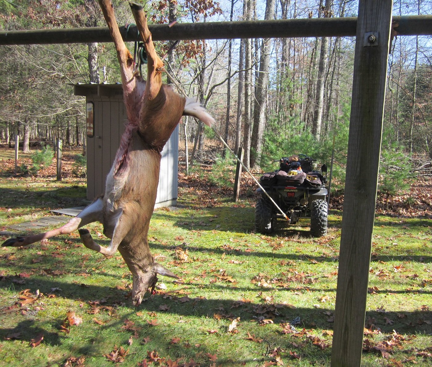 #2-4 wheeler does what I can't.JPG