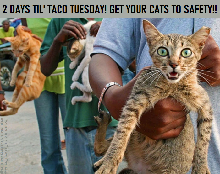 2 Days to Taco Tuesday [Save the Cats].png