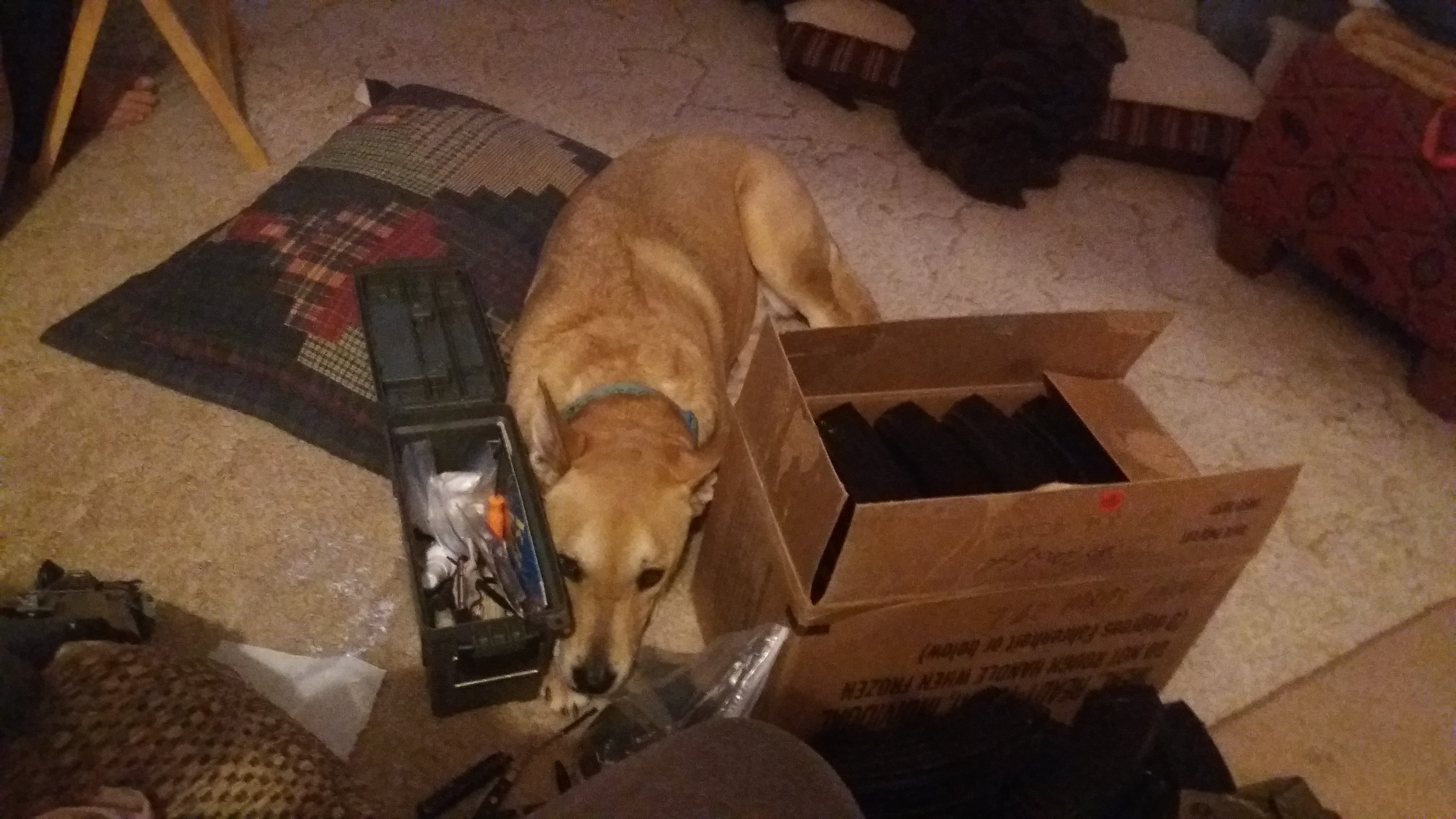 20170115_115320.jpg