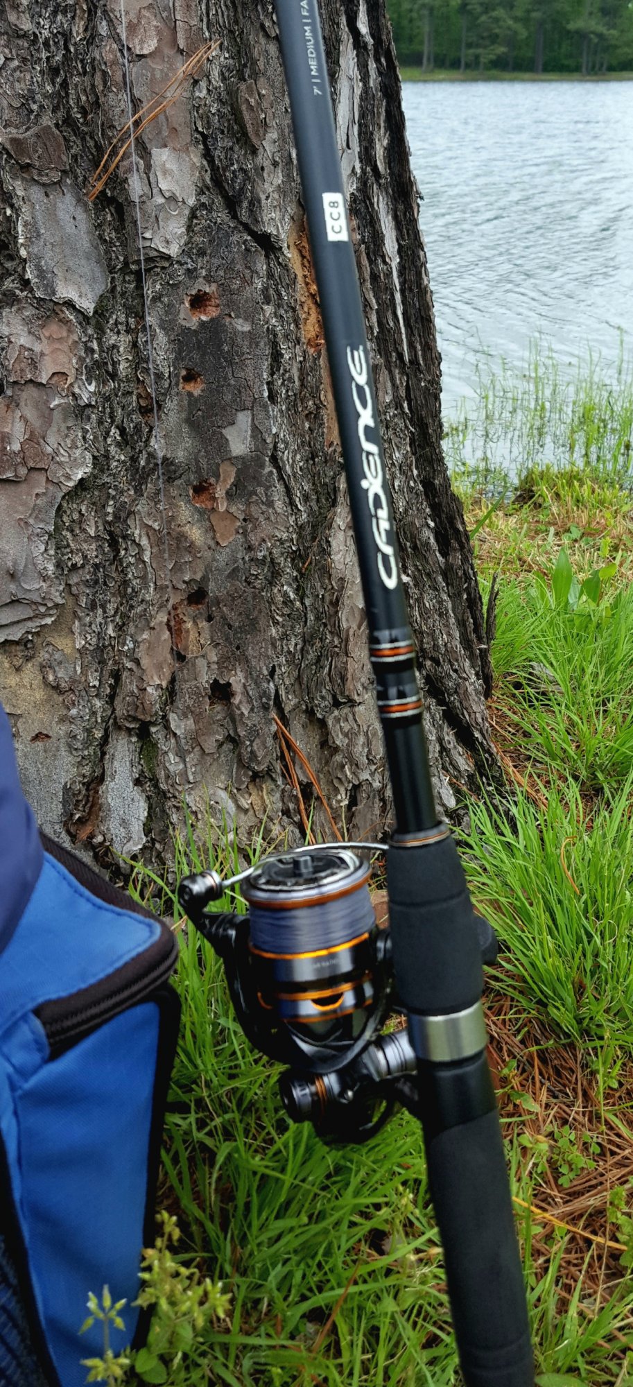 20190425_132617.jpg