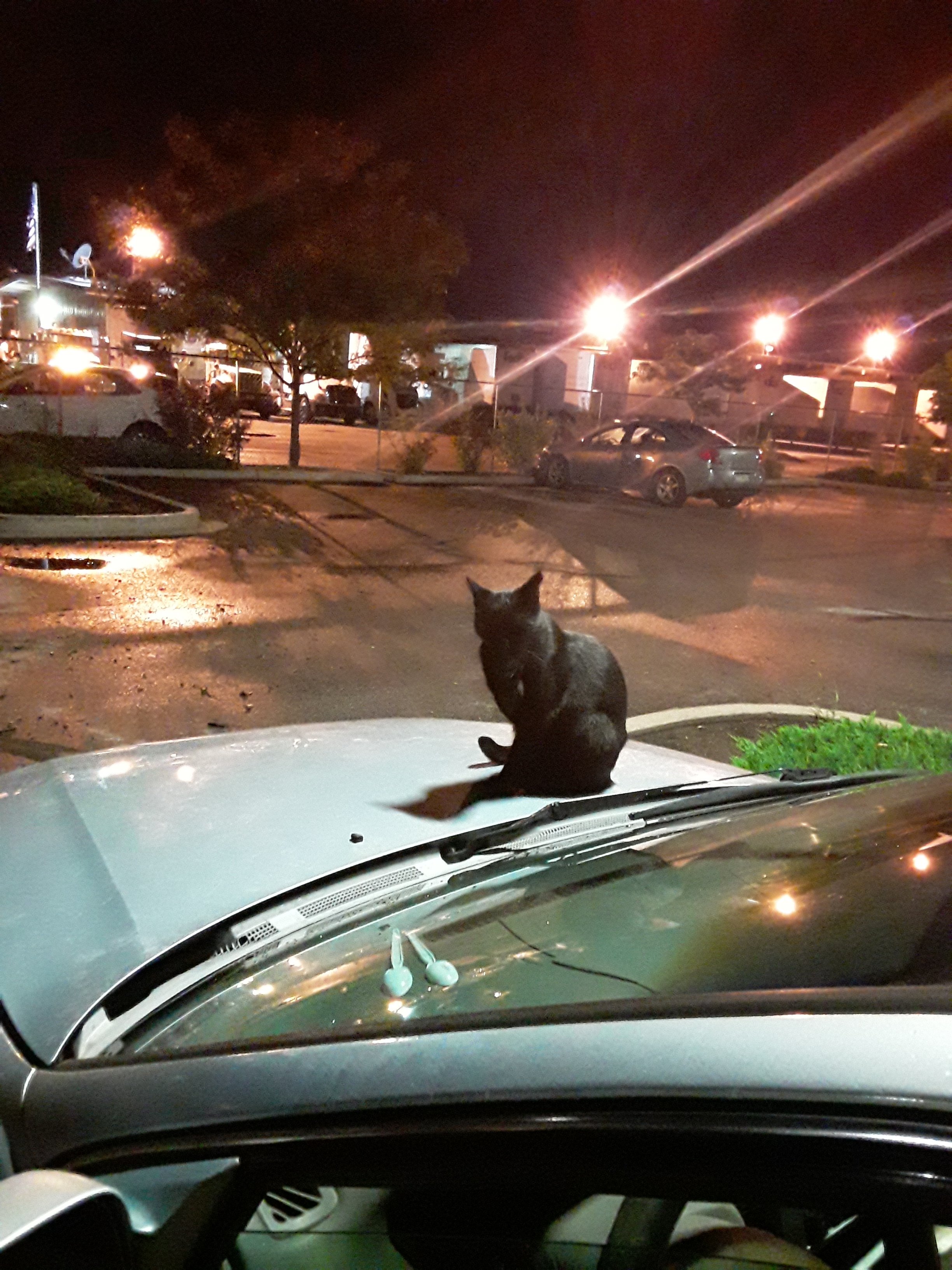 20190909_002138.jpg